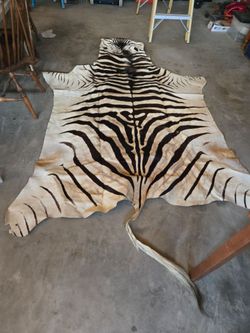 Authentic full size African zebra skin rug with hair and mane intact