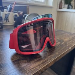 Smith Ski/Snowboard Goggles 