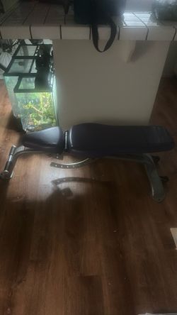 Purple weight bench