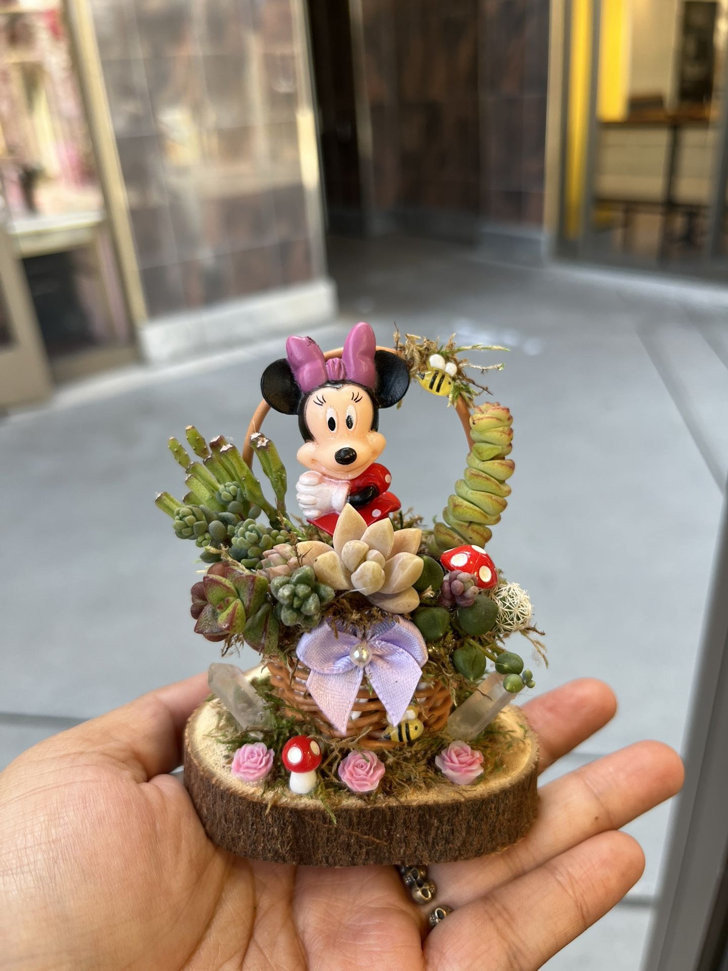 Minnie Mouse Succulent Basket
