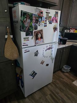 Fridge