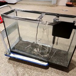 Fish 🐟 🐠 🎣 🐡  Tank 