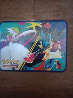 Pokemon case