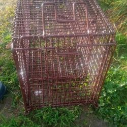 Wild Animal Trap Cage 