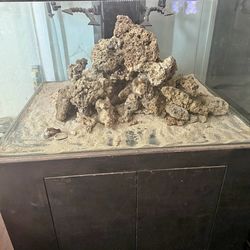 200 Gallon Professional Reef Tank Setup – $1000 OBO