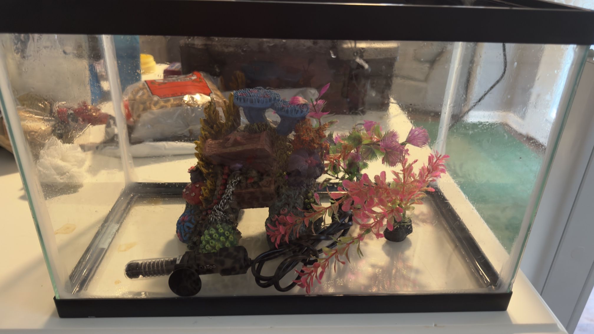 Fish Tank 5.5 Gallons