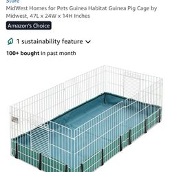 Guinea Pig Cage 