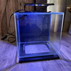GloFish Betta Fish Aquarium 3 gallon 