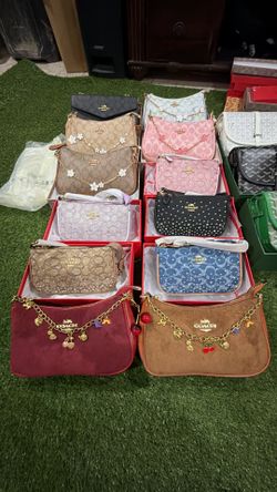 Coach bags and goyard bags