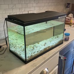 10 Gallon Fish tank With Filter And Heater Included 