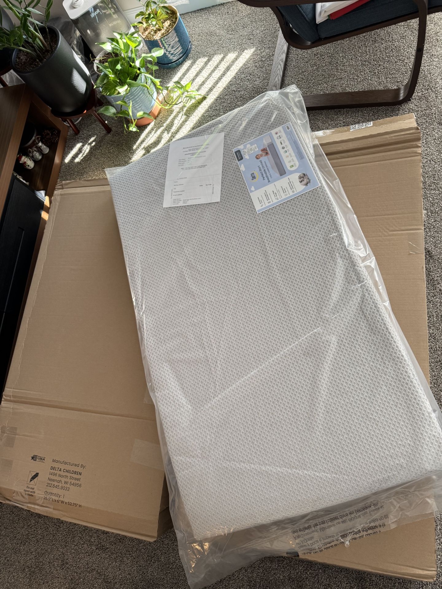 Delta Children Mattress-Factory Sealed