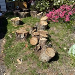Free Wood
