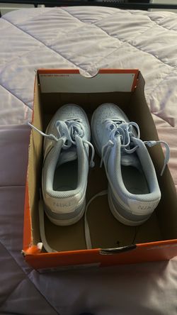 blue and white dunks