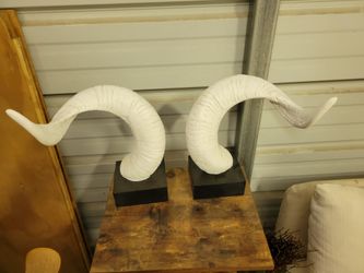 Decorative Horns