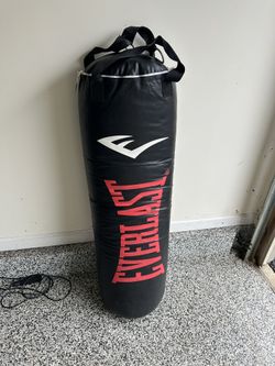 Everlast Punching Bag