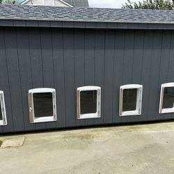 Outdoor Dog kennel Animal Home