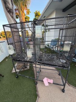Bird Cage