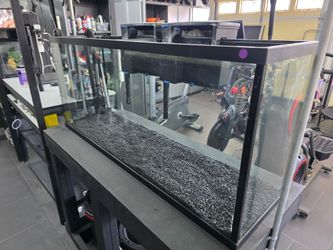 Fish Tank and Aquariums