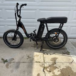 Radrunner 2 Ebike