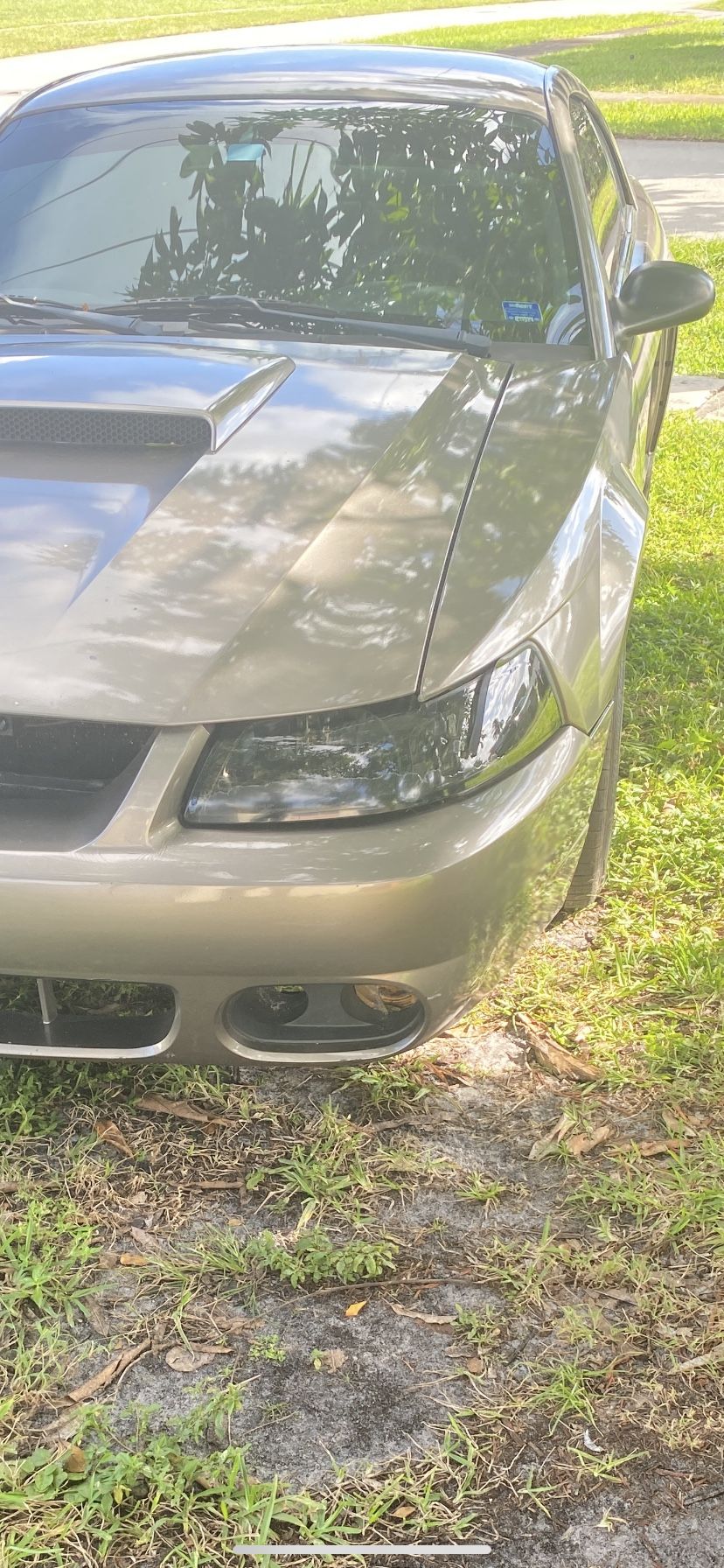 2002 Ford Mustang