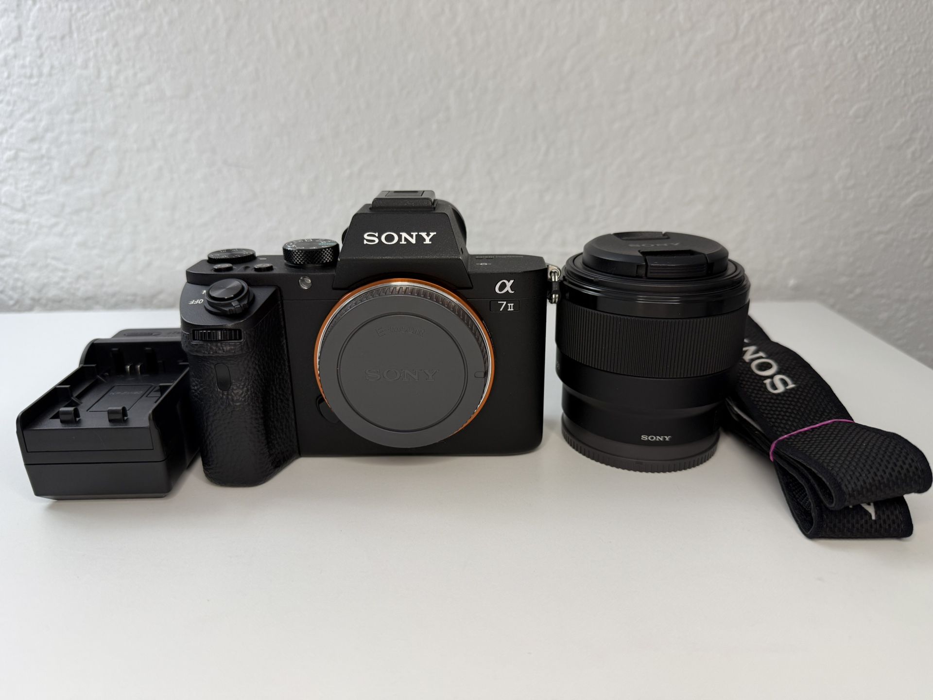 Sony a7 ii     c/     50mm Sony Lens