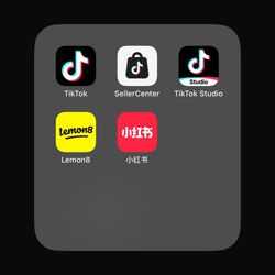 iPhone 16 Pro Max Att 250 Gb  With TikTok  Apps 