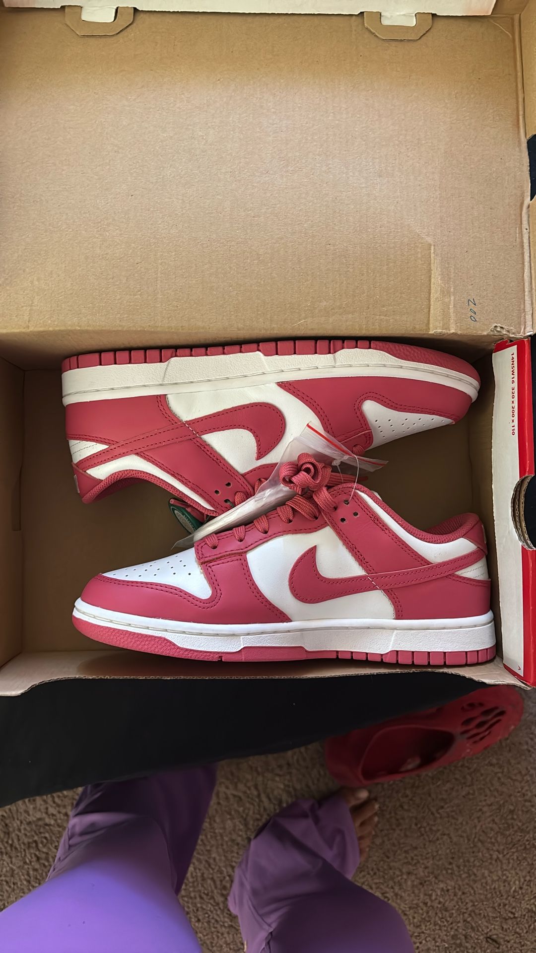 Pink Nike dunk low