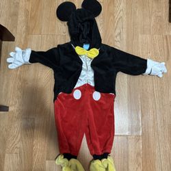 Mickey Costume / Picture Frame 