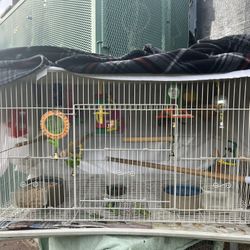 Cage