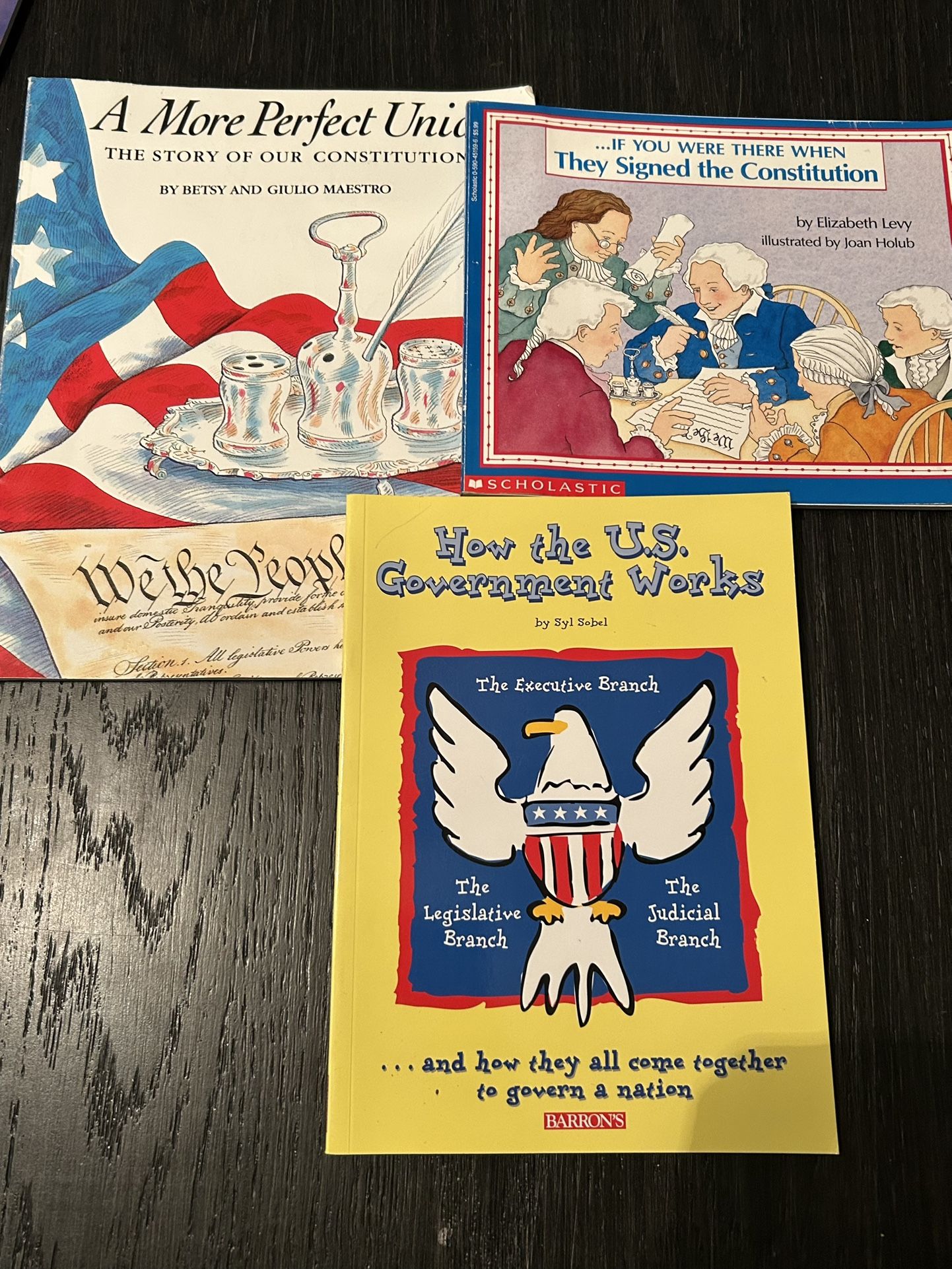 US History nonfiction children's picture books bundle of 3