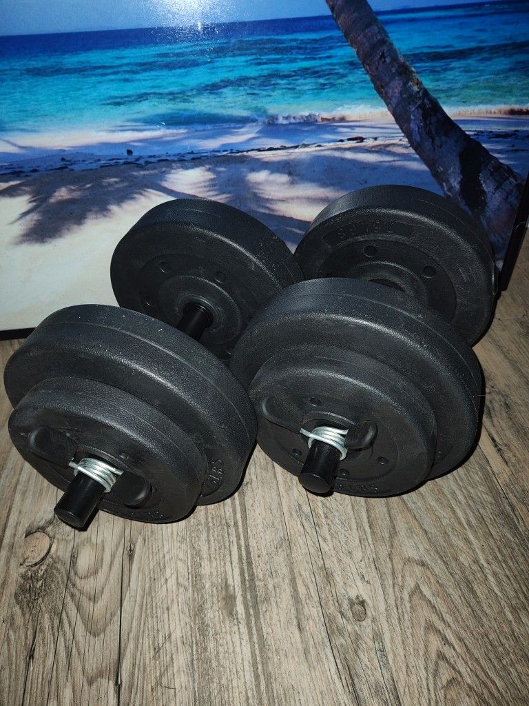 25lbs Dumbbells