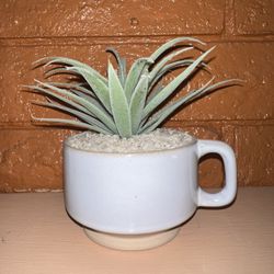 Faux Succulent in Ceramic Mug Planter