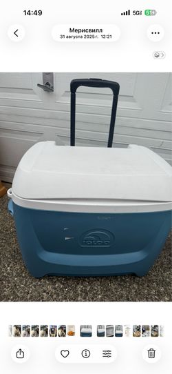 Cooler