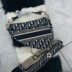 Cartera Cristian Dior 