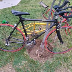 Calfee Road Bike