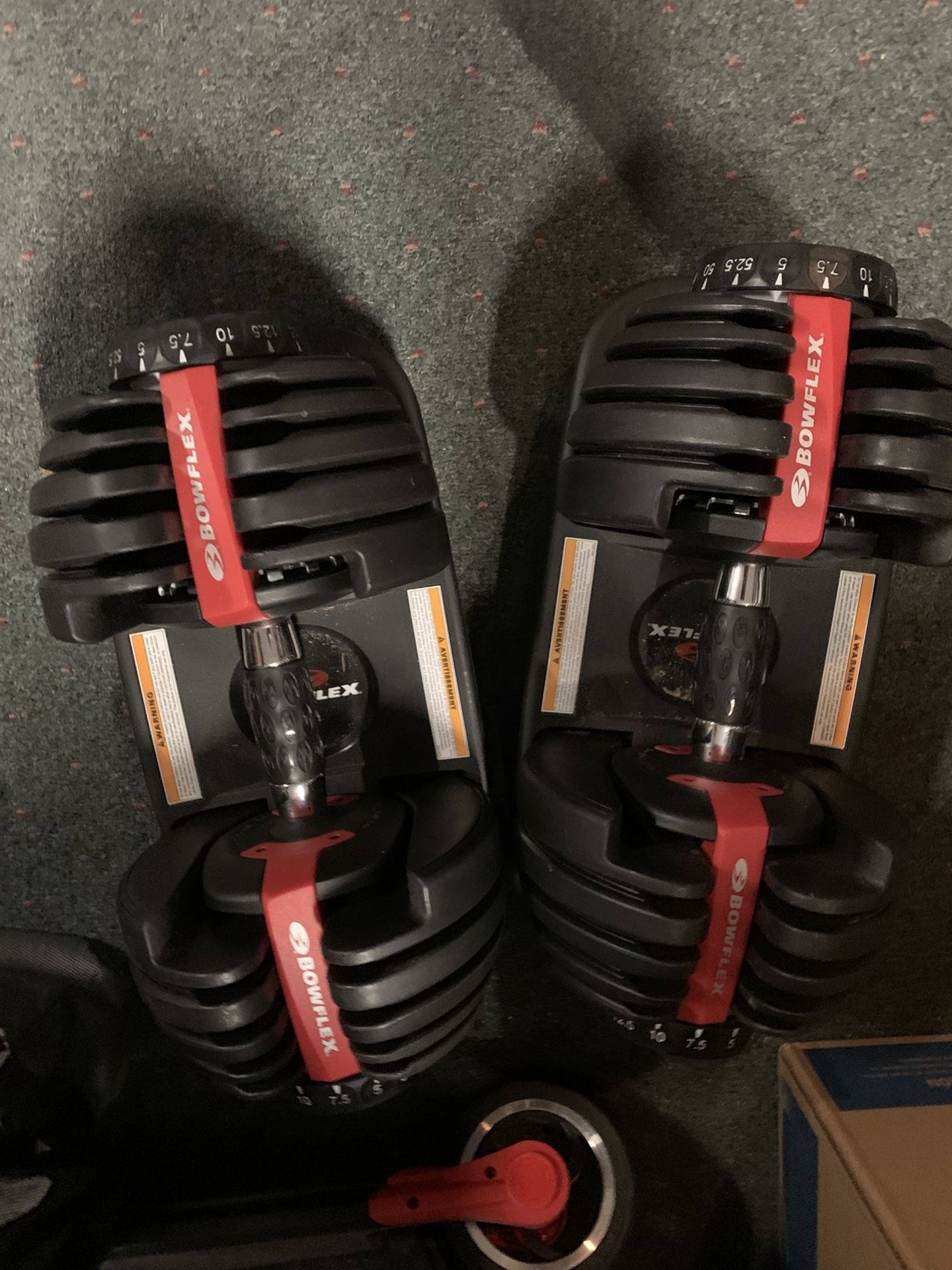 Bowflex dumbbells and bench