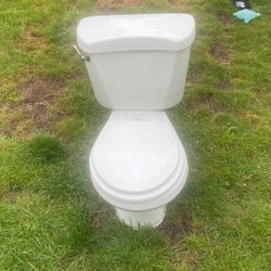 White Toilet With Nickle Flusher
