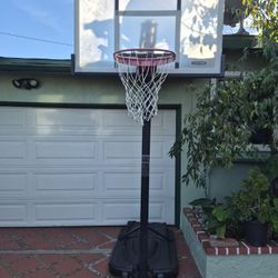 Lifetime Adjustable Portable Basketball Hoop (54-Inch Tempered Glass)