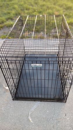 Large Double Door Dog Crate 42 In Long 30 High And For 28 Wide