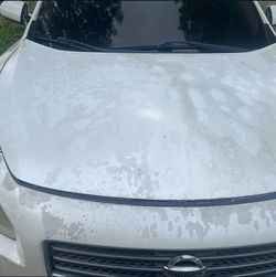 Nissan maxima