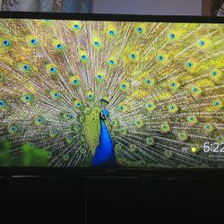 LG 50” Tv 