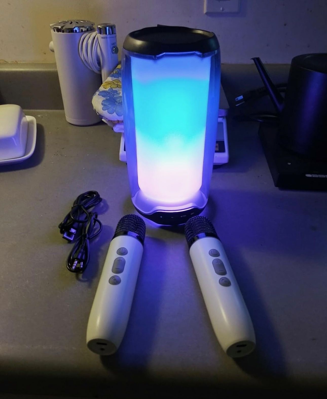Bluetooth Speakers,Portable Karaoke Machine, Bluetooth Karaoke Speaker w/2 Bluetooth Microphones
