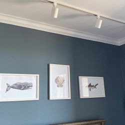 Set Of 3 Ocean Animal Prints