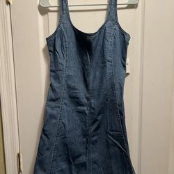 Gap Denim Dress