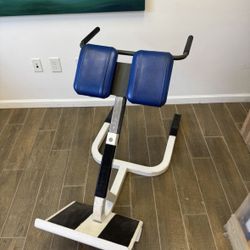 Roman Chair Gym Equipment 