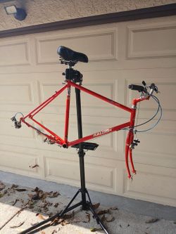 Vintage mountain bike frame Raleigh