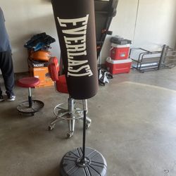 Ever Last Punching Bag