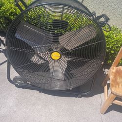 Big fan