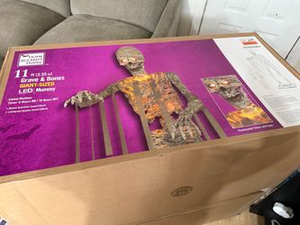 Halloween Mummy Skeleton