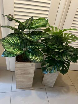 Very nice 2 Artificial plants